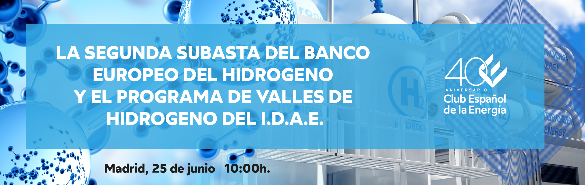 Subastas hidro