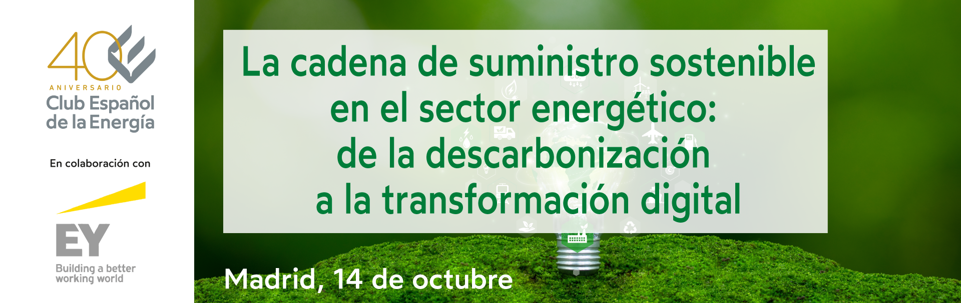 Curso EY 2026