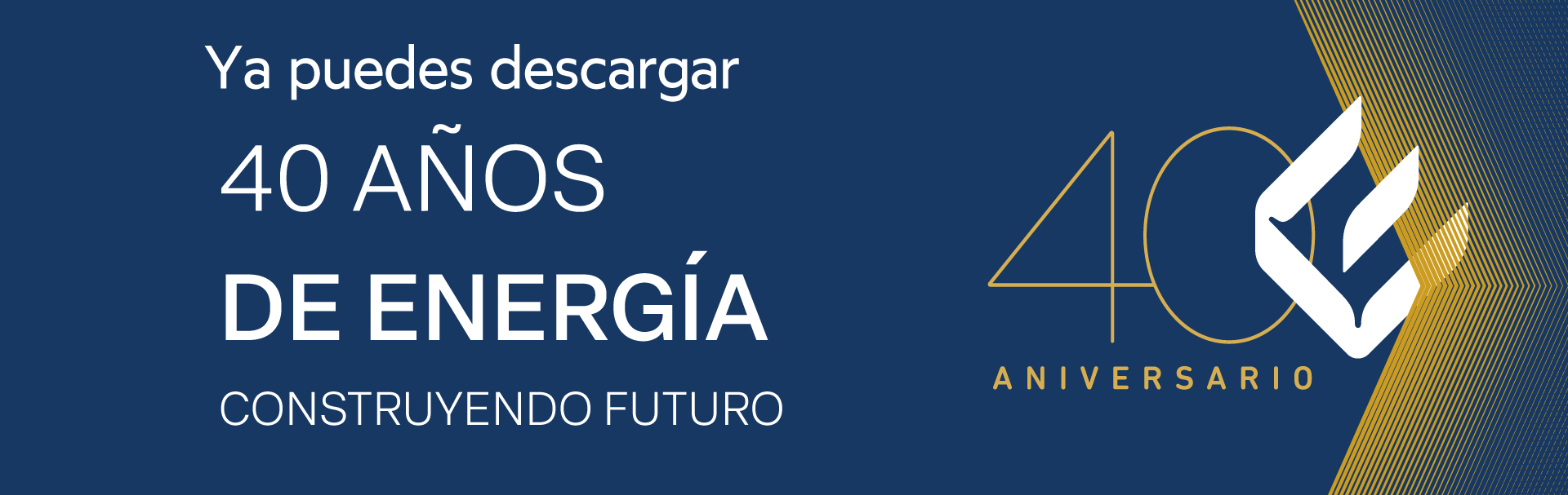 libro 40