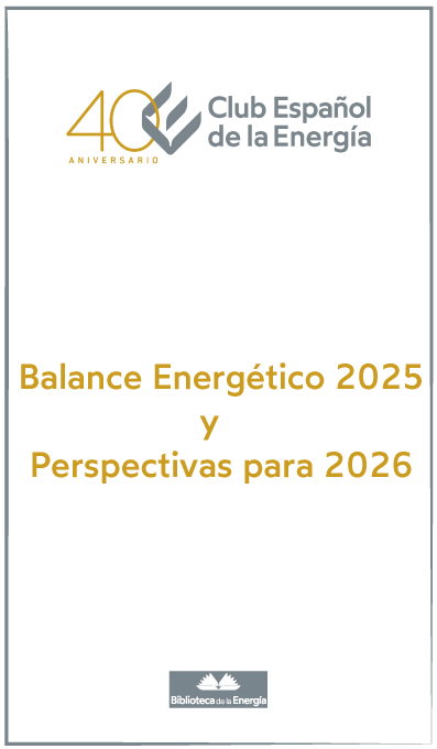 Balance Energético de 2025 y Perspectivas para 2026