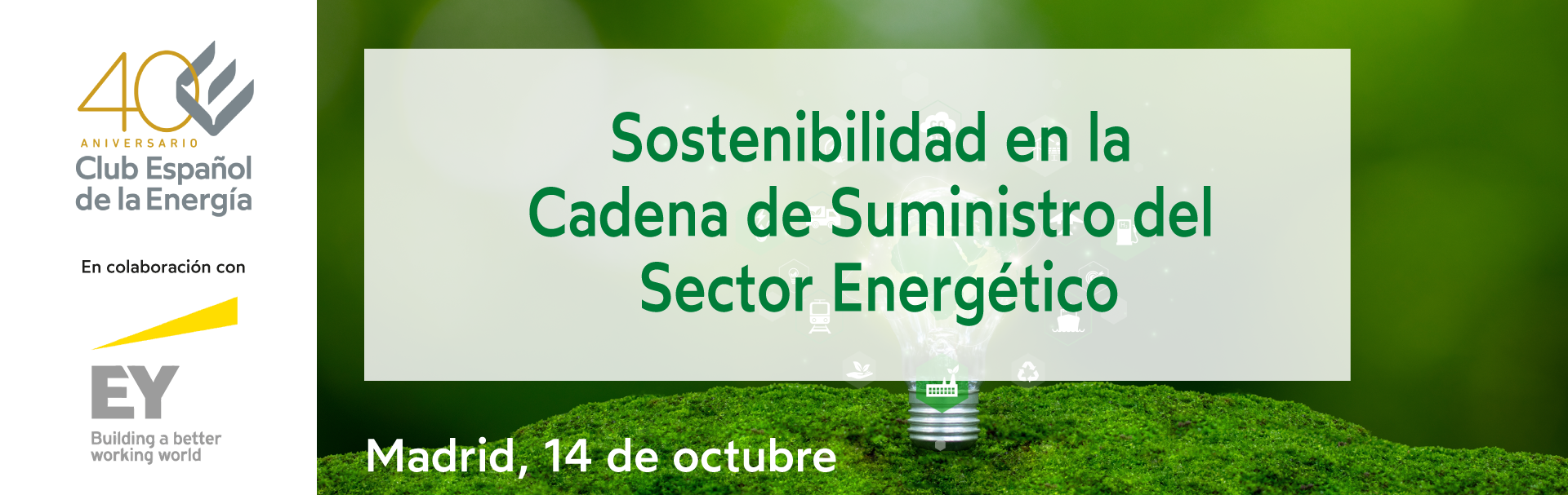 Curso EY 2026